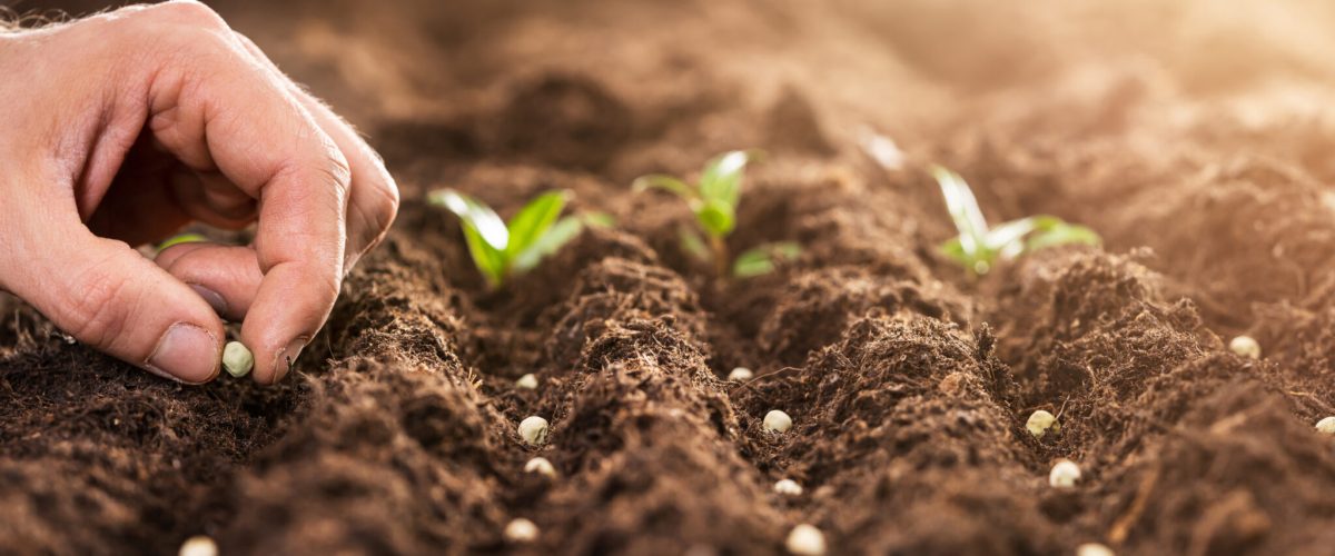 Quality starts at the sourceand ends in flock protection