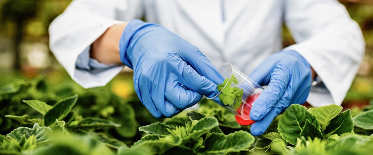 We verify the quality and efficacy of our botanicalsbefore incorporating them into our formulations.