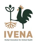 logo high resolution