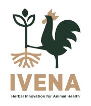 logo high resolution