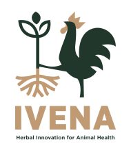 logo high resolution