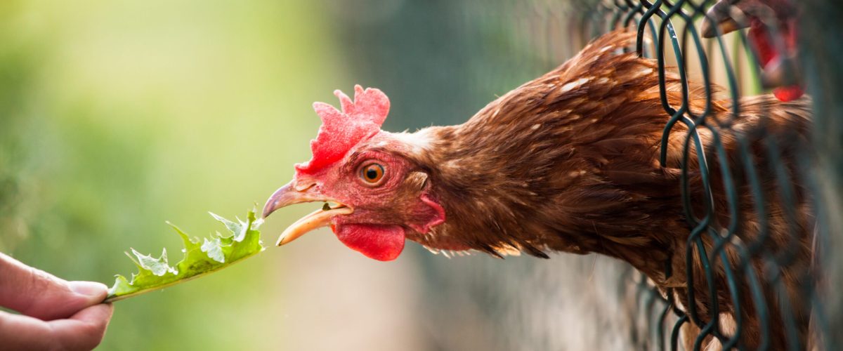 to ensure every drop delivers nature’s true strengthbacked by science🔬